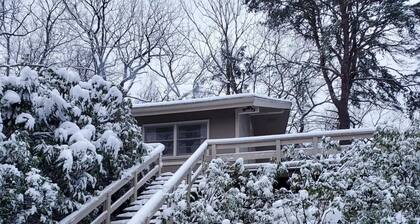 Cozy Ridge Top Mountain Cabin - A World Away