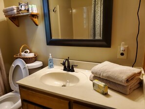 Hair dryer, towels, soap, toilet paper