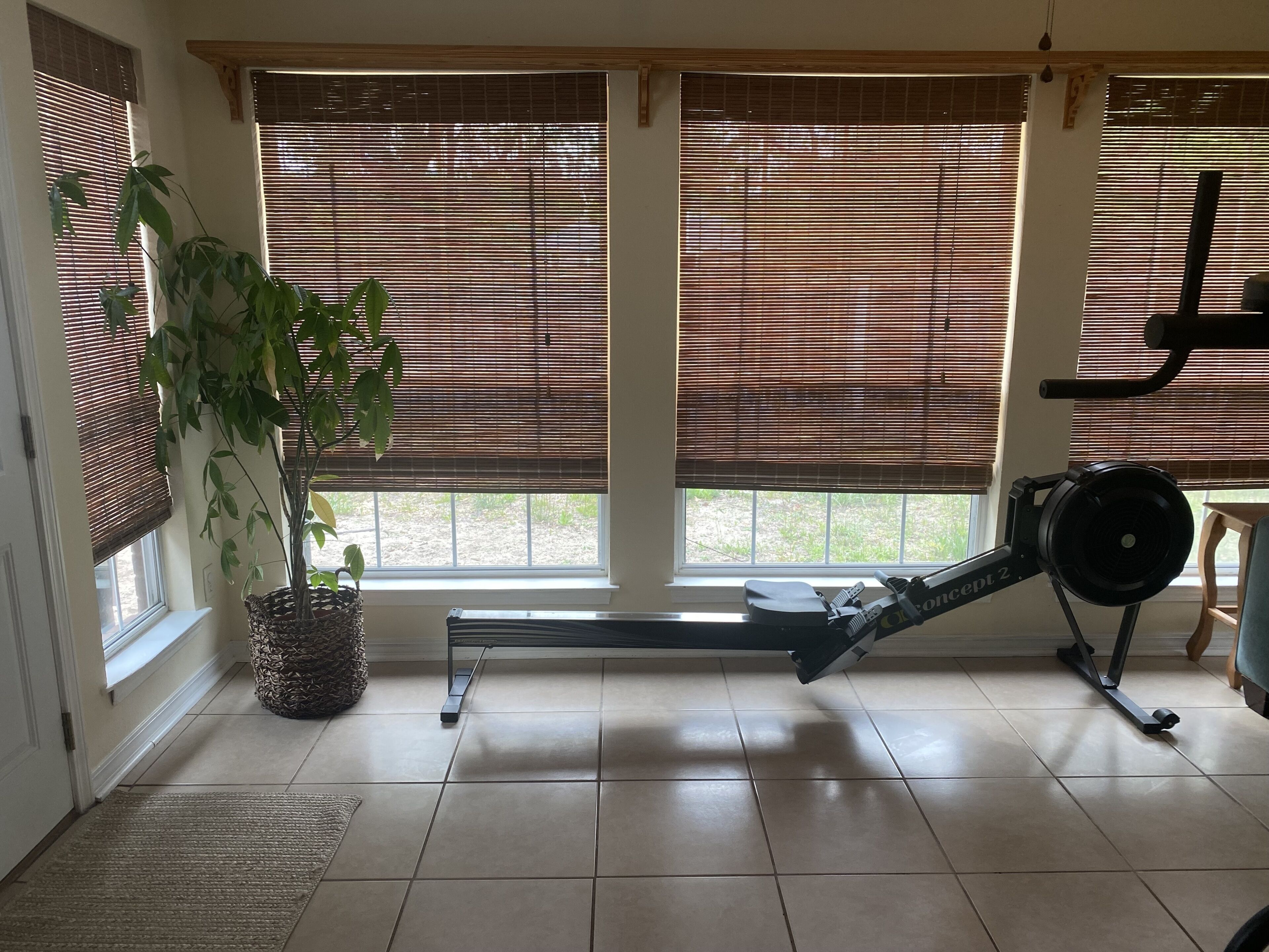 A room with a stationary bike, large windows with blinds, a potted plant, and a tiled floor.