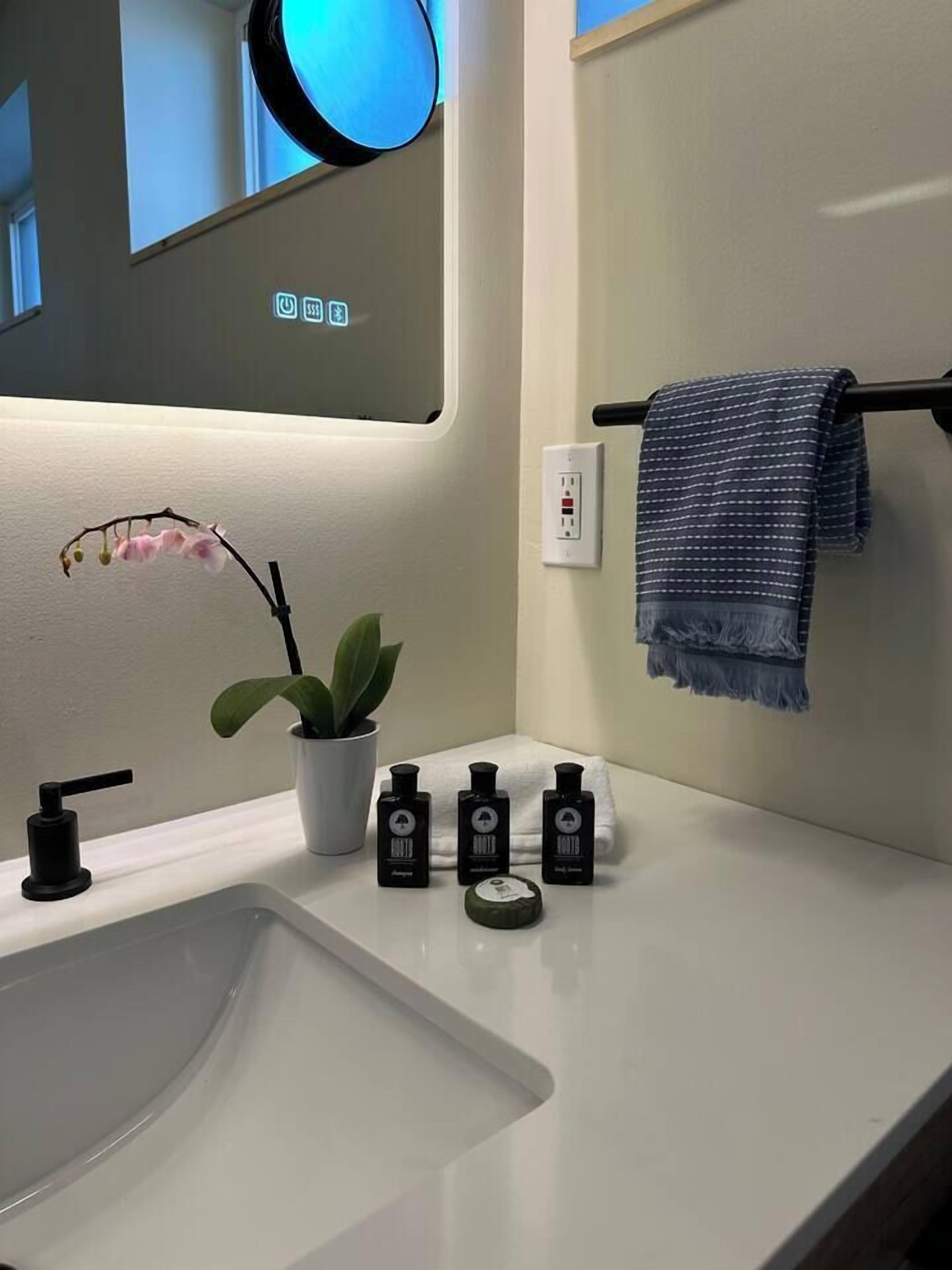 A modern bathroom with a white sink, a mirror, a potted plant, and three bottles of hand soap.