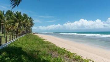 A beach with palm trees and a fence along the shoreline.