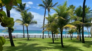 A grassy area with palm trees and a view of the ocean. - Flats Beach Class Resort - Muro Alto (Ipojuca)