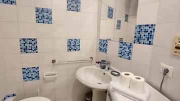 Shower, hair dryer, bidet