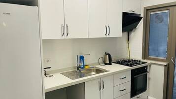 Grand réfrigérateur, micro-ondes, four, lave-vaisselle