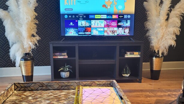 A living room with a flat-screen TV displaying a Disney+ interface, two decorative vases with white feathers, and a woven tray table with a notebook. - Cool haven in the city, close to the medical center and NRG. (Houston)
