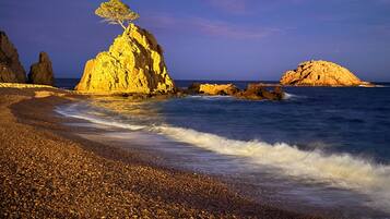 Una spiaggia nelle vicinanze