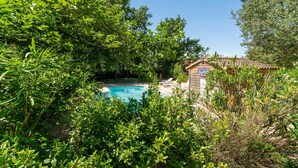 A swimming pool surrounded by lush greenery, a wooden building with a tiled roof, and a clear blue sky.