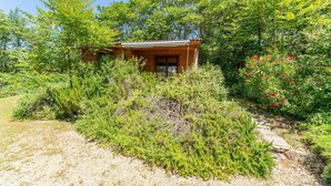 A wooden cabin surrounded by dense greenery and a gravel path.
