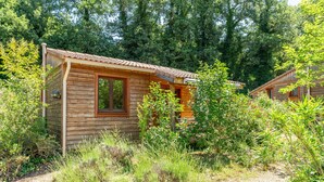 Una cabaña de madera con una ventana, rodeada de abundante follaje y árboles.