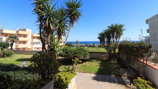 Zona residencial con vistas despejadas al mar, palmeras y un camino que lleva a un edificio.