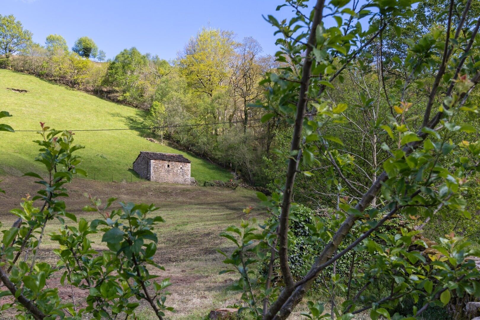 Paisagem rural com um edifício de pedra numa colina gramada, rodeada por árvores e vegetação.