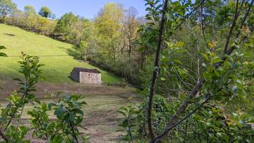 Paisagem rural com um edifício de pedra numa colina gramada, rodeada por árvores e vegetação.