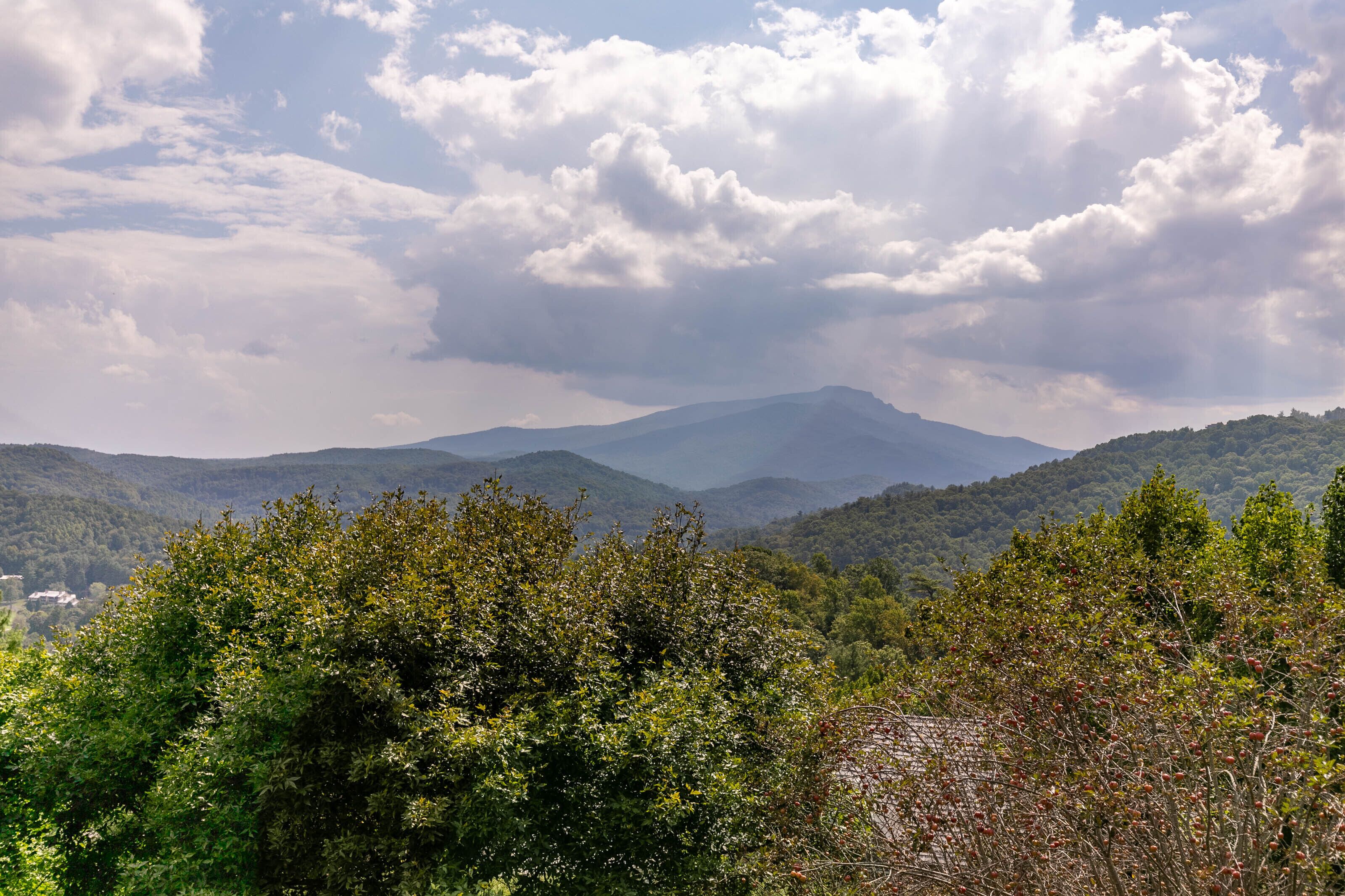 A mountainous landscape with dense forest in the foreground and a range of hills in the background.