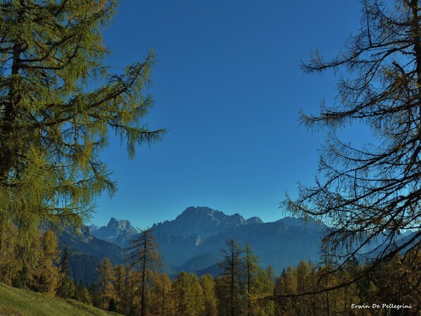 A mountainous landscape with trees and clear skies.