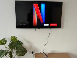Televisión
