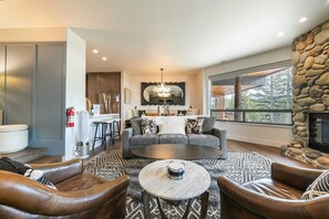 Télévision, cheminée, espaces bureaux