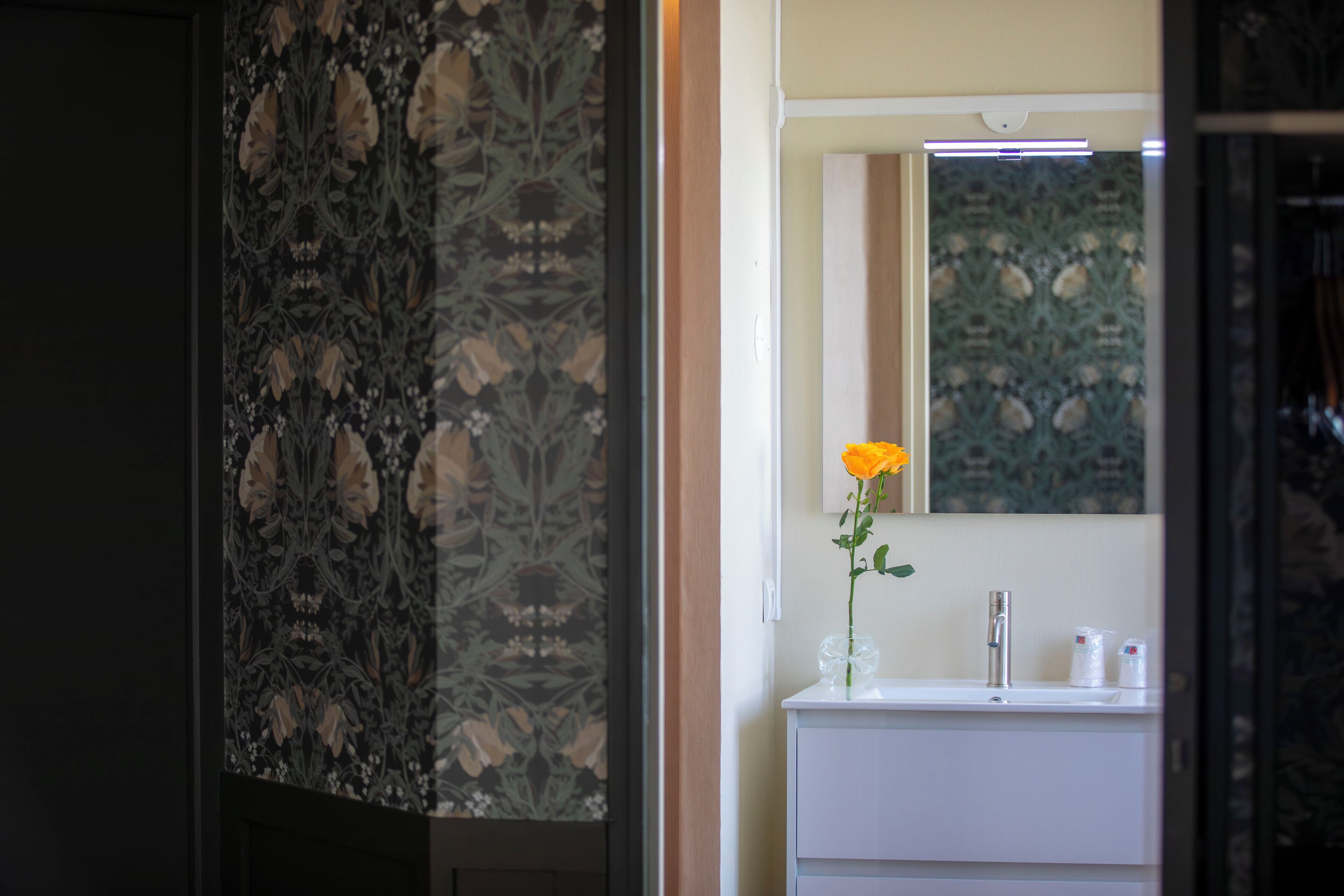 Baignoire, serviettes fournies