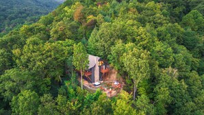 Una cabaña aislada rodeada de un bosque denso.