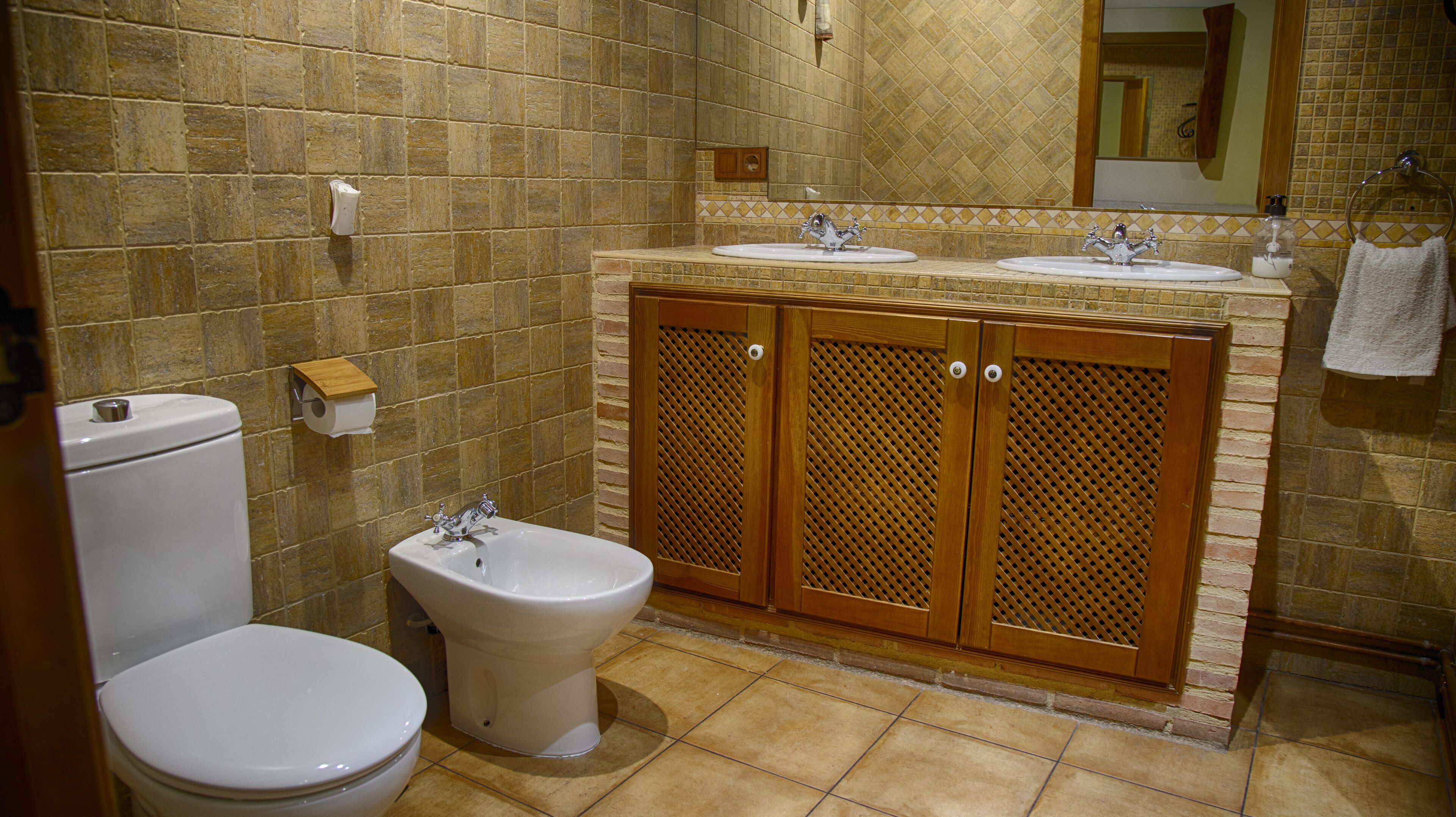 Shower, jetted tub, hair dryer, bidet