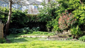A garden with a stone wall, a variety of plants, and a building in the background. - The Nook - Room 4 - Deluxe King Room (St Ives)