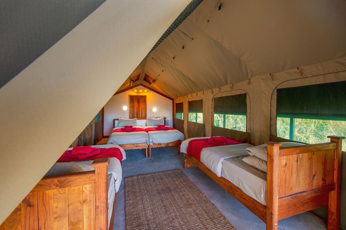 A tented accommodation with two wooden beds, a central seating area, and a view through the windows.