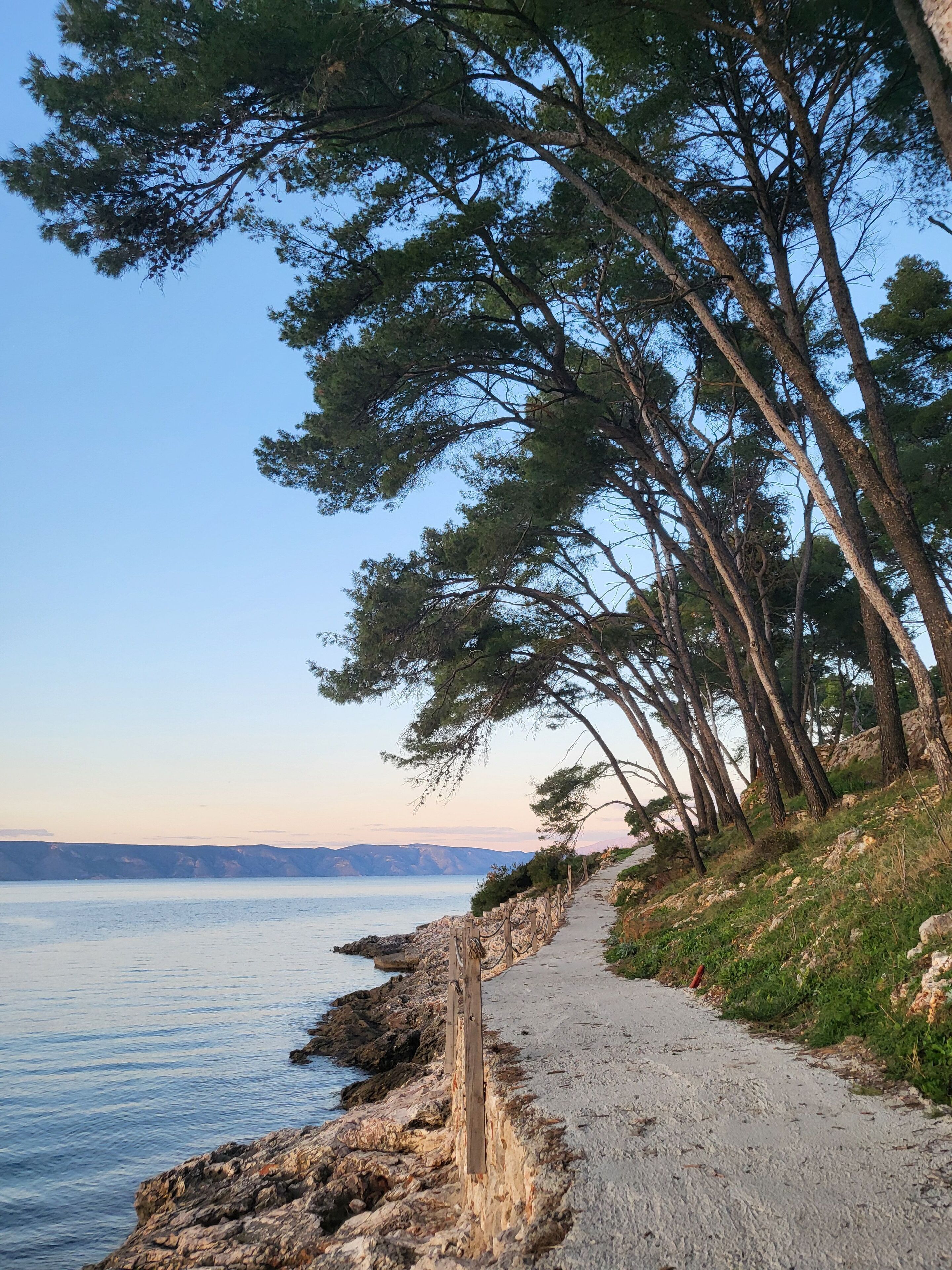 共同ドミトリー ベッドルーム (複数) 喫煙可 テラス | 外観