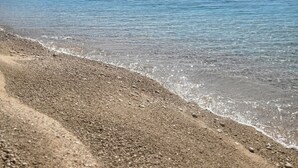 Felles sovesal, flere soverom, røyk, terrasse | Strand