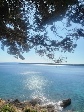 A coastal landscape with clear water, rocky shoreline, and dense tree branches overhead. - Room-plava Laguna Bed and Breakfast (Jelsa)
