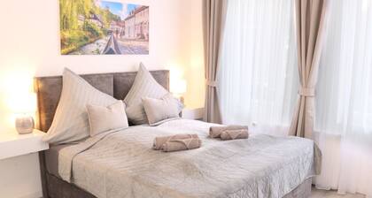 Gemütliches Apartment in der Altstadt von Goslar – Ideal für Familien & Gruppen!