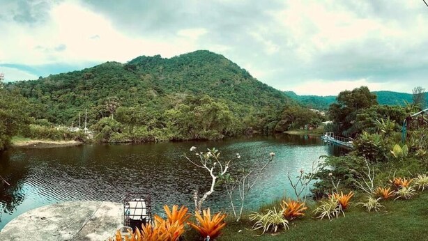 Un lago sereno rodeado de exuberante vegetación y una colina al fondo.