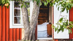 Een houten blokhut met een bed en raam, omringd door bomen.