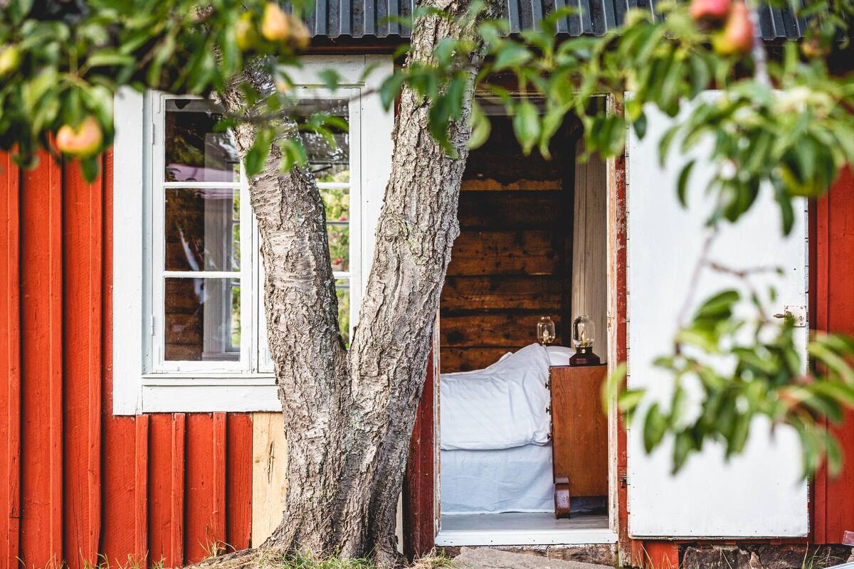 A rustic wooden cabin with a bed and a window, surrounded by trees.