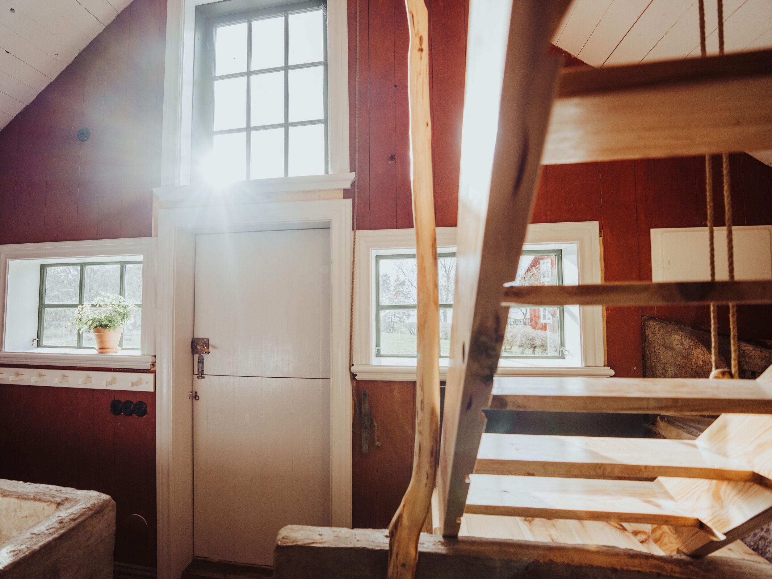A rustic room with a loft bed, a small window with a potted plant, and a door.