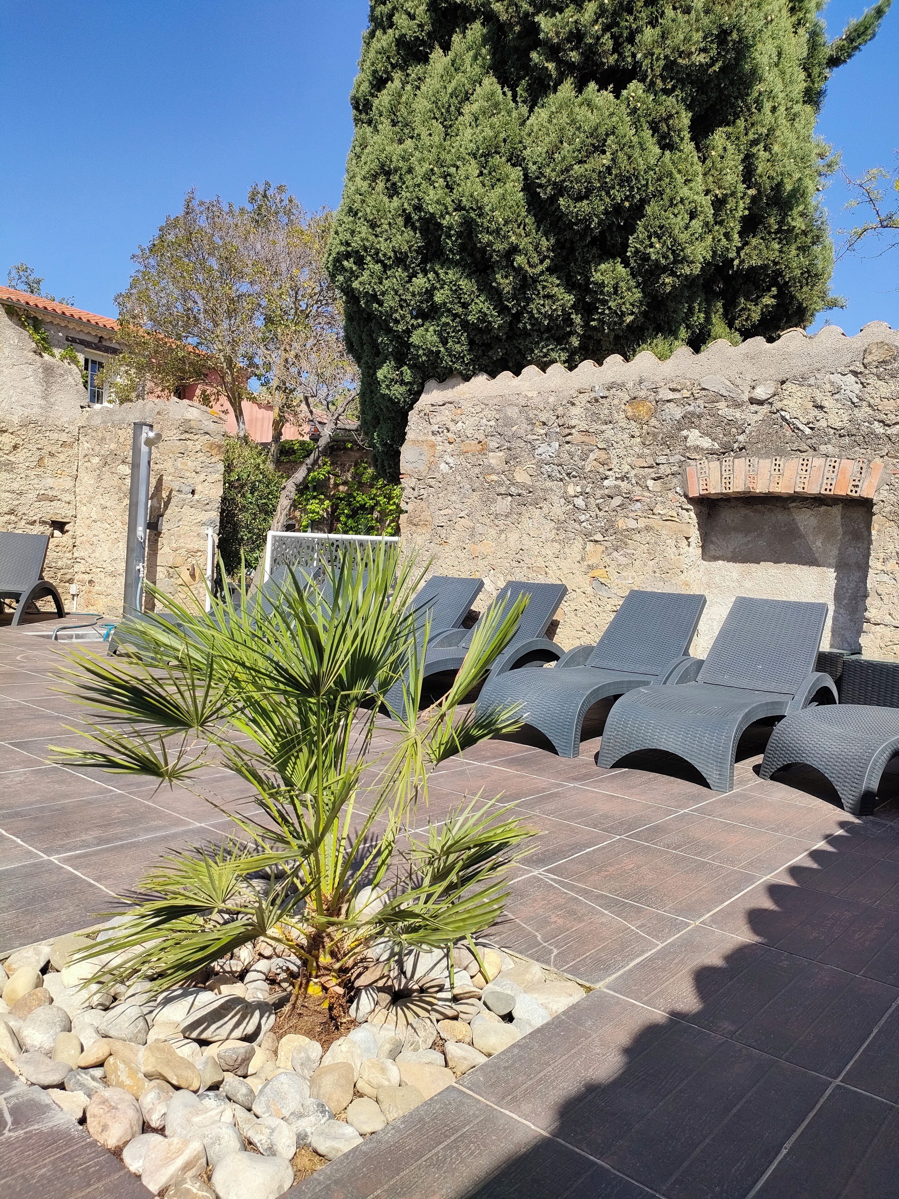 Un patio con sillones de descanso, un muro de piedra y una planta de palma.