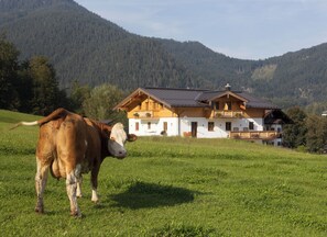 Exterior - Silberg 1-4 Personen, 57m², 1 SZ, 1 Wsz, Balkon (Bischofswiesen)