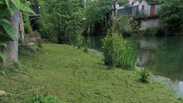 A grassy area with a pond, surrounded by trees and some buildings in the background.