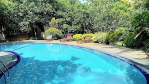 Uma piscina com borda azulejada, rodeada por vegetação exuberante e espreguiçadeiras de madeira.