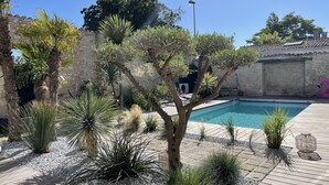 Area piscina con parete in pietra, palme e pontile in legno.