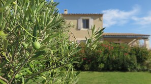 Una casa con jardín y un olivo al frente.