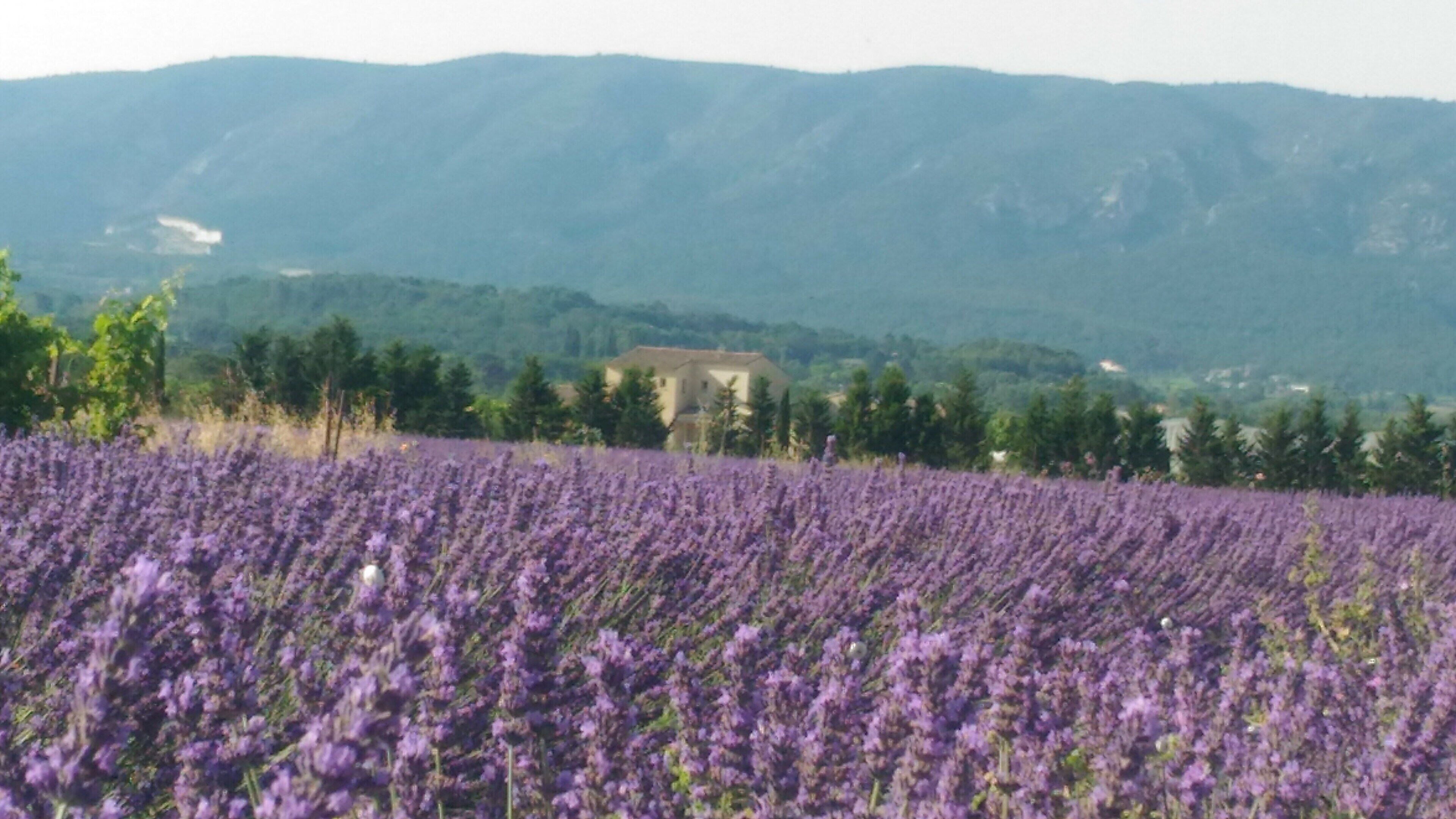 1 camera, ferro/asse da stiro, culla da viaggio, Wi-Fi gratuito