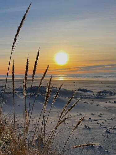 Premium Beachfront Presidential Unit Long Beach  Getaway 
May 10 - May 13, 2024