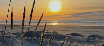 Premium Beachfront Presidential Unit Long Beach  Getaway 
May 10 - May 13, 2024