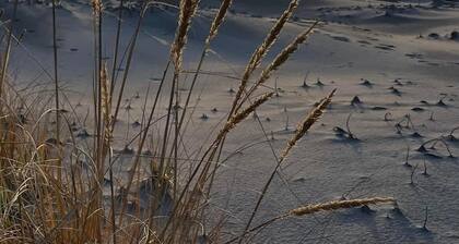 Premium Beachfront Presidential Unit Long Beach Getaway
May 10 - May 13, 2024