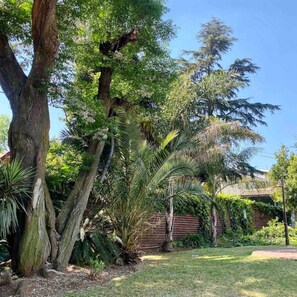 Property grounds - Vintage home with no power outage (Edenvale)