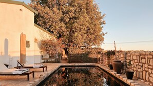Outdoor pool - The Historical boutique Hotel  (Strampriet)