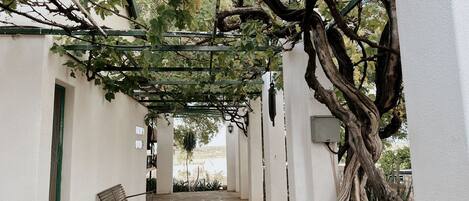 Fachada da propriedade