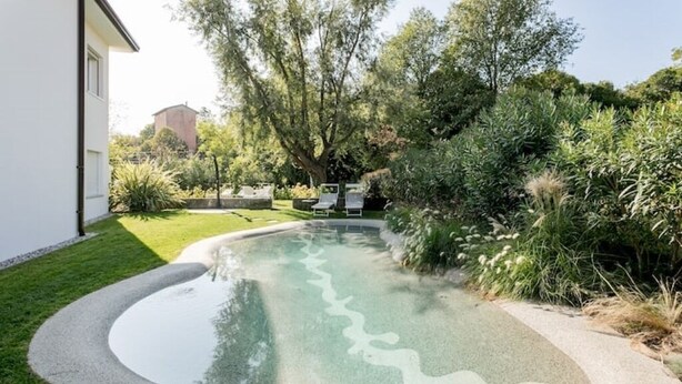 Uma piscina com design de borda ondulada, rodeada por um gramado bem cuidado e vegetação densa.