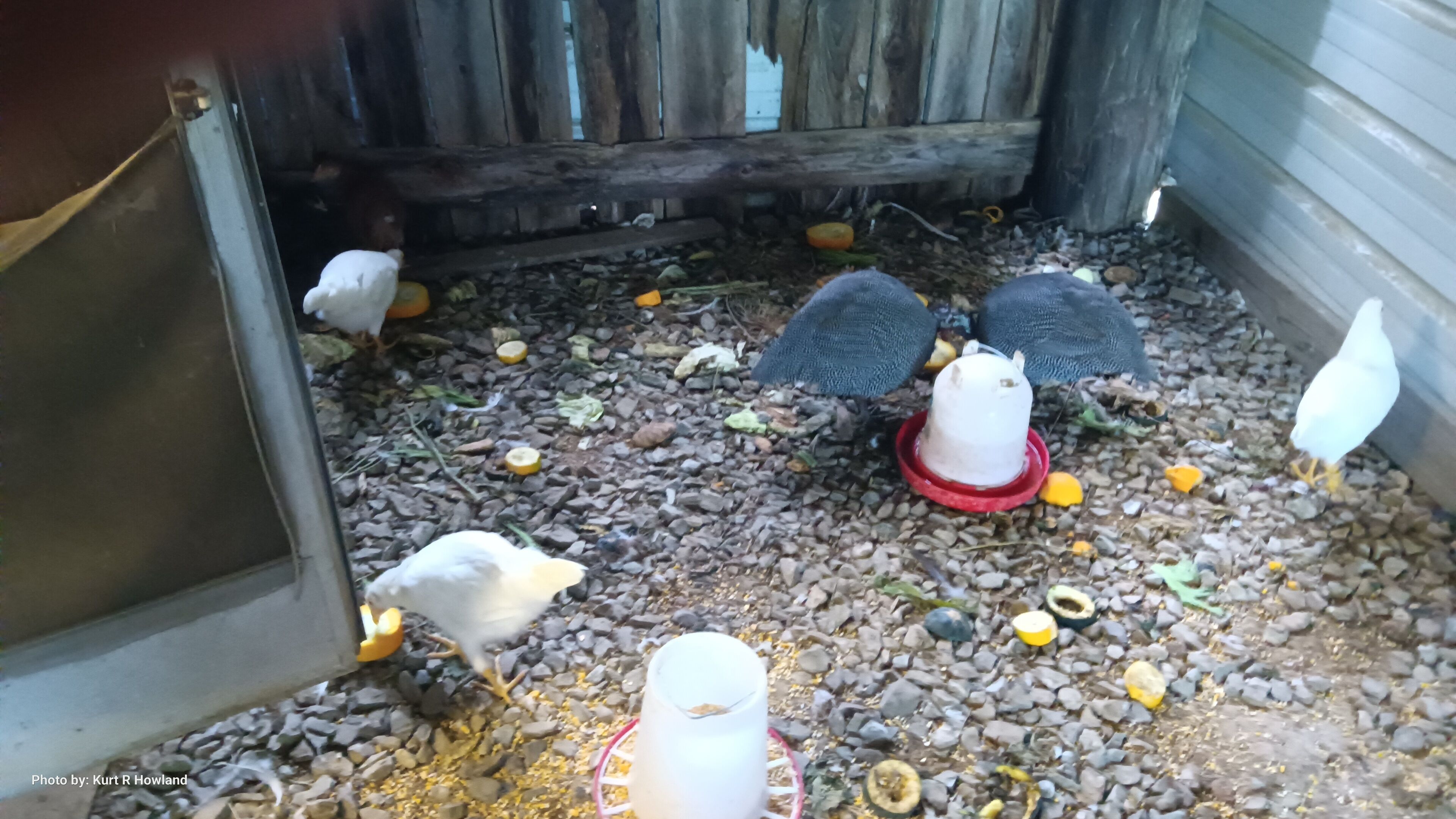 シャワー、タオル、石鹸、シャンプー