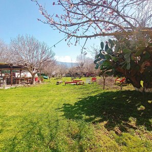 Exterior - Ya Basta Camping (Fethiye)