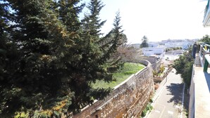 Vista de un paisaje urbano con un muro de piedra y árboles.